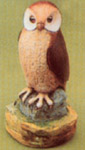 owl